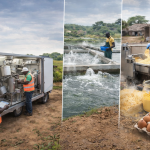 Innovative food systems in rural Africa